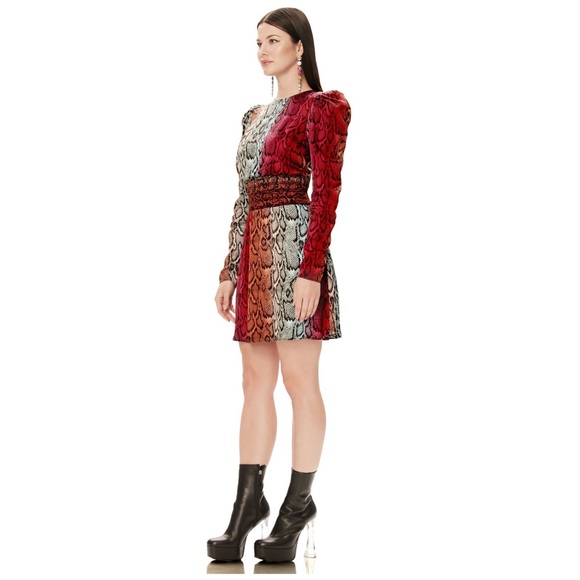 AFRM Violaine Long Sleeve Dress In Snake Ombre - Picture 2 of 7